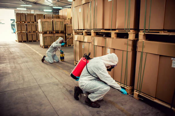 Best Bed Bug Extermination  in Encinal, TX