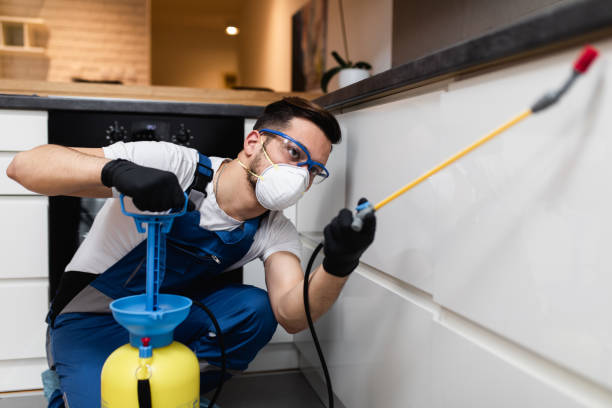 Best Termite Control Services  in Encinal, TX