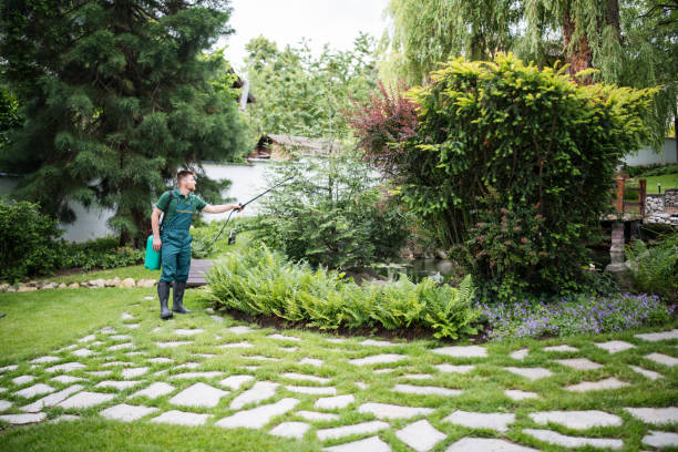 Best Best Pest Control Companies  in Encinal, TX
