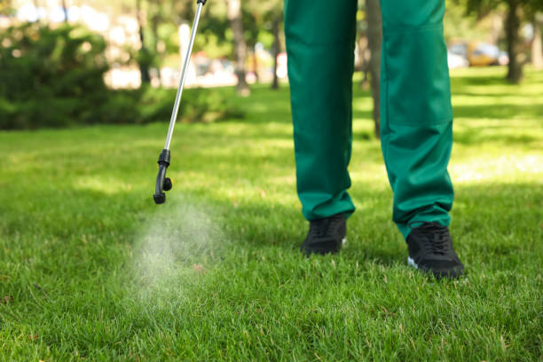 Best Pest Control for Restaurants  in Encinal, TX
