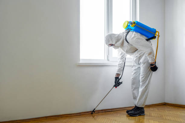 Best Pest Control Near Me  in Encinal, TX