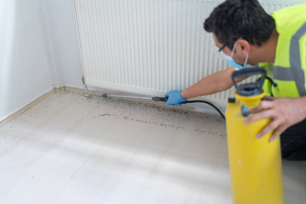 Pest Control for Restaurants in Encinal, TX